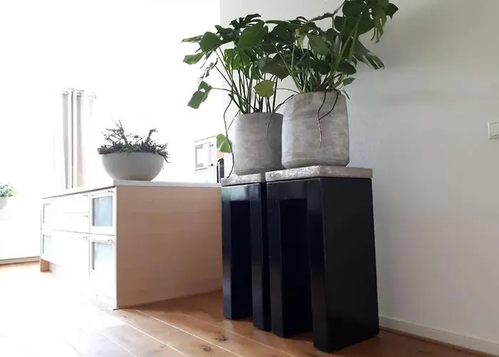 Unique B&b, In The Historic Centre Of Bed & Breakfast